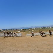 First view of Punda Banda : Baja2011